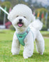 Petank Dog Harness for Small Medium Dogs No Pull, Puppy Harness and Leash Set, Easy Walk Dog Harness for Walking, Running, Training, Small Dog Har...