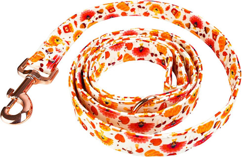 Dog Leash Pumpkin and Turkey Pattern - Durable, Stylish Thanksgiving Pet Leash, Available in Small, Medium and Large, Daily Walking Puppy Leash, M...