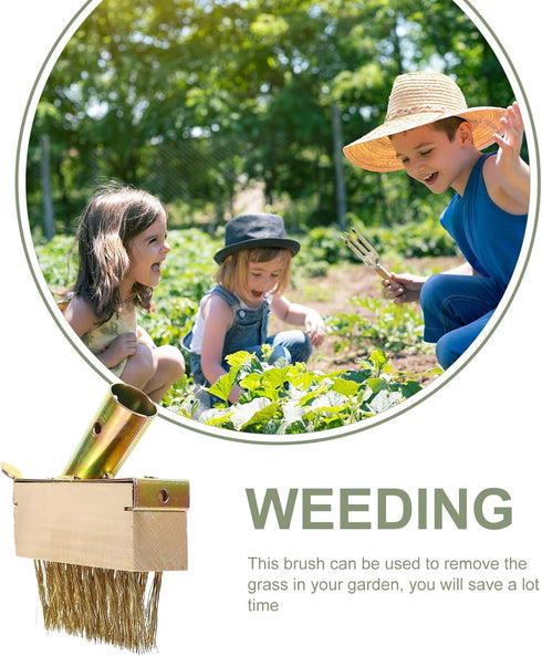 Weeding Wire Brush with Scraper Tools, Moss Removal Deck Crevice Cleaning Tool, Weed and Moss Remover Brush for Cleaning Paving Joints, Pavers, Si...