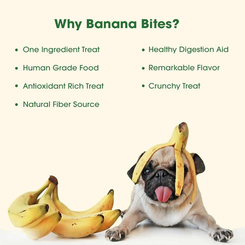 Dehydrated Bananas, Pure Treats. Dehydrated in Small batches by us. Bananas are considered a Super Food...