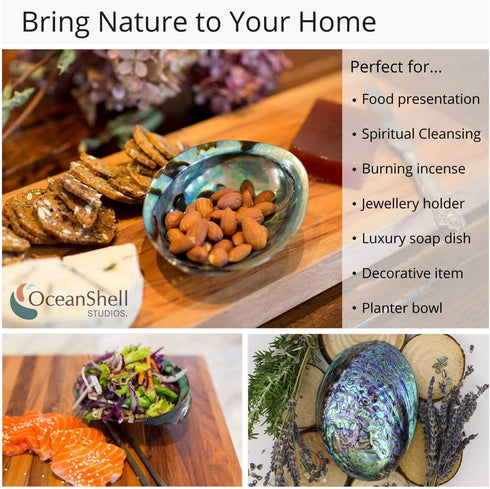 Polished Abalone Shell, 4.5" to 5.5", in Gift Box, for Smudging, Cleansing, Meditation, Home Décor and to Gift. 100% Natural Shell - Sustainably S...