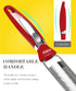 Ourokhome Kitchen Lemon Zester, Stainless Steel Hand Held Parmesan Cheese Grater for Ginger, Chocolate, Coconut, Lime, Nutmeg, Citrus, Fruit, Vege...