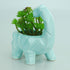 VanEnjoy 6 Inch Cute Cartoon Dinosaur Shape Ceramic Succulent Planter, Water Culture Hydroponics Bonsai Cactus Flower Pot,Air Plant Vase Holder De...
