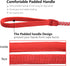 Dog Training Leash for Small to Medium Dogs, Rope Dog Leash, Chew Proof and Reflective Dog Lead...
