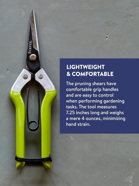 Burpee CR725 Garden Pruning Shears - Garden Hand Tools - Lightweight Precise Pruners for Gardening - Great for Flower Trimming or Vegetable Harves...