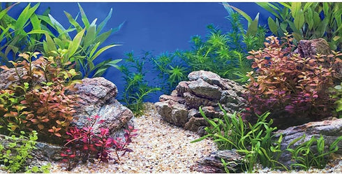 AWERT 30x18 inches Aquatic Plant Fish Tank Background Stone River Bed & Lake Aquarium Background Vinyl...