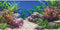 AWERT 30x18 inches Aquatic Plant Fish Tank Background Stone River Bed & Lake Aquarium Background Vinyl...