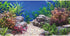 AWERT 30x18 inches Aquatic Plant Fish Tank Background Stone River Bed & Lake Aquarium Background Vinyl...