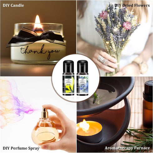 Blossom Essential Oils Set, 6x15ml Aromatherapy Oil Kit for Diffuser, Humidifier, Air Purifier- Aqua Lily, Water Hyacinth, Jasmine & Camellia, Eng...
