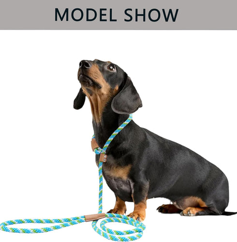 6 FT Slip Leads for Dogs No Pull Dog Training Leash Dog Leash Slip Lead Strong Dog Loop Leashes Colorful Braided Rope Dog Lead Comfortable Slip Le...