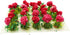 20Pcs Miniature Flower Cluster Grass Flower Tufts for Mini Dollhouse Fairy Garden Railway Simulated Static Scenery Micro Landscape Model (Red)...