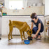 Kytely Large Collapsible Dog Bowl 2 Pack, 34oz Foldable Dog Travel Bowls, Portable Dog Water Food Bowl with Clasp, Pet Cat Feeding Cup Dish for Tr...
