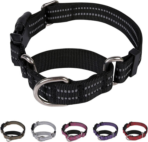 Martingale Dog Collars Reflective Nylon Puppy Dog Collar with Quick Release Buckle Adjustable Training No Slip Dog Collar (X-Small, Black)...