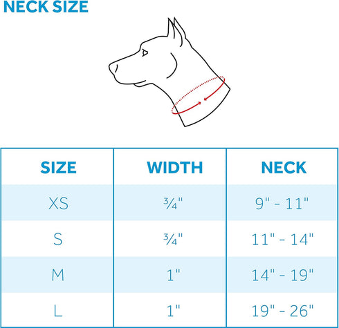 RC Pets 1 Inch Easy Clip Web Martingale Training Dog Collar, Medium, Owl...
