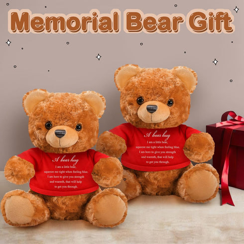 2 Pcs Little Bear Plush Stuffed Animal Sympathy Gifts Memory Bear with a Bear Hug Sign Funeral Gift for Kids Bereavement Comfort Child Loss of Lov...