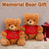 2 Pcs Little Bear Plush Stuffed Animal Sympathy Gifts Memory Bear with a Bear Hug Sign Funeral Gift for Kids Bereavement Comfort Child Loss of Lov...