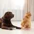 2 Pcs Cat Slow Feeder Bowl Cat Fish Pool Design Feeder Cat Dish Fun Interactive Cat Food Bowl Feeder Healthy Eating Diet Cat Bowls for Pet Cats Pu...