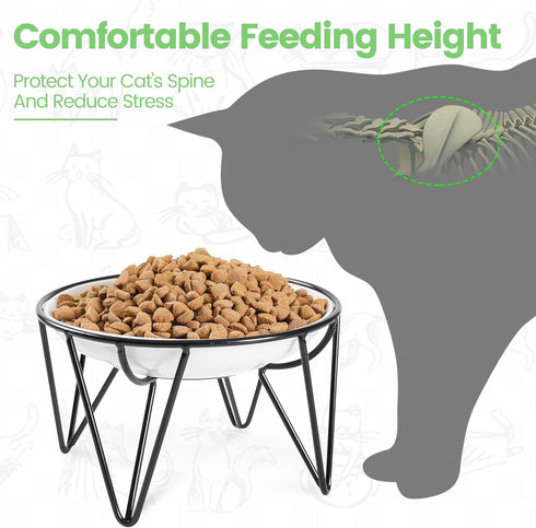 Ceramic Cat Bowls, 2 Pack - Raised, Whisker Friendly, Anti-Vomiting Cat Food Plates - Hygienic, Secure Material, Elegant Stand, 10 oz, for Indoor ...