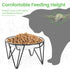 Ceramic Cat Bowls, 2 Pack - Raised, Whisker Friendly, Anti-Vomiting Cat Food Plates - Hygienic, Secure Material, Elegant Stand, 10 oz, for Indoor ...
