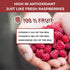 100% Canada Raspberries - Natrihealth Freeze Dried Raspberries 20gx2...