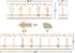 Teacher Created Resources Terrazzo Tones Number Line (-20 to +120) Bulletin Board (TCR7204)...