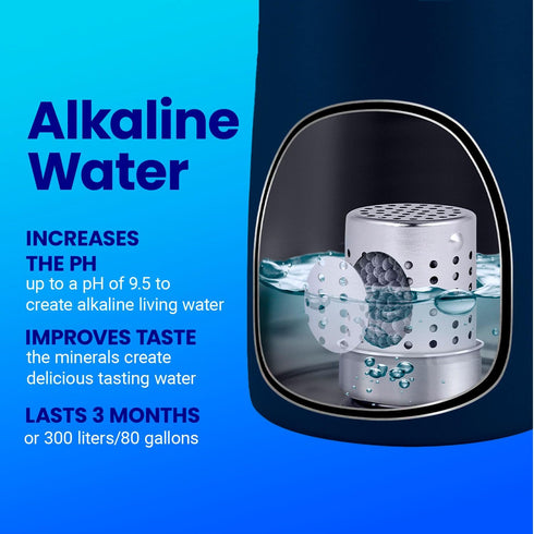 DYLN VitaBead Diffuser | Creates Hydrogen-Rich, pH 9+ Alkaline Antioxidant Water | Replacement for DYLN Bottle | Natural Mineral Ionized Hydrogen ...
