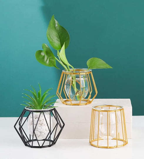 Glass Vase Nordic Small Flower Vase Clear Glass Bud Vases with Metal Geometric Iron Line Cup Vase Pot for Hydroponic Planter Flowers Rack Stand Mo...