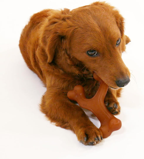 Nylabone Gourmet Style Strong Chew Wishbone Dog Chew Toy, Bacon Flavor, Small/Regular (1 Count)...