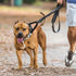 4 Pieces No Tangle Dog Leash Couplers Black Double Clip Leash for Dogs Two Clasp Dog Double Leashes 0.6 Inch Wide Heavy Duty Nylon Leash Splitter ...