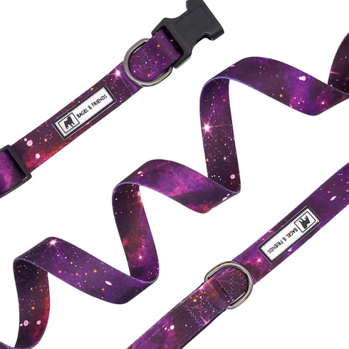 Bagel & Friends Matching Dog Collar & Leash Set XSmall, Small, Medium, Large for boy, Male, Female, Girl Dogs and Puppy (Large, Purple Galaxy)...