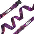 Bagel & Friends Matching Dog Collar & Leash Set XSmall, Small, Medium, Large for boy, Male, Female, Girl Dogs and Puppy (Large, Purple Galaxy)...
