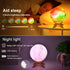 SHINECLOUD Hand Drawn Moon Lamp Cool Arts & Crafts Kit Creative Decorative Light DIY Globe Lamp with Remote Control/Smart Touch Sensor/Wooden Stan...