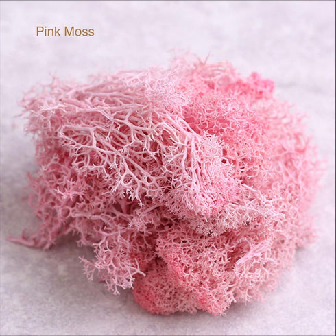 9 OZ Preserved Moss, Natural Live Moss, Fake Moss for Potted Plants, Spanish Moss for Terrariums Gardening Art, Vase Fillers, Craft Floral Wall, W...