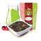 Organic Sencha Kyoto Cherry Rose Festival Green Tea | Loose Leaf Pouch - 4oz Bag | Premium Japanese Sencha | Cherry & Rose Infusion | Smooth Flavo...