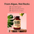 Calcium Supplement - Whole Food with Vitamin K2 & D3, Magnesium, Zinc, Boron, Mineral Complex. Sourced Sustainably from Red Algae. for Bone Streng...