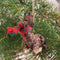 Conversation Concepts Giraffe Tiny Miniature One Christmas Ornament - (Brown), 1.5" - 2" Tall...