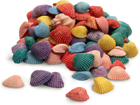 Hygloss Products Multi Colored Craft Shells – Mixed Bucket O' Sea Shells From USA - 5 Ounce Container...