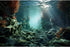 Aquarium Background Underwater Deep Blue Sea Rock Seaweed and Beautiful Sunlight Rays Terrarium Background Sandy Floor with Coral Aquarium Backdro...