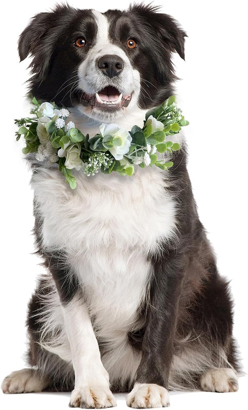 Dog Wedding Flower Collar,dog flower collar,rose flower crown,flower crown,dog wedding collar,flower dog collar,for Weddings Flower Ring Pets Cats...
