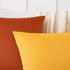 Mixhug Set of 2 Cozy Velvet Square Decorative Throw Pillow Covers for Couch and Bed, Burnt Orange, 18 x 18 Inches...