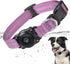Airtag Dog Collar, 100% Waterproof Integrated Apple Air Tag Dog Collars, Reflective GPS Dog Collar with Hard PC AirTag Holder Case for Small Mediu...