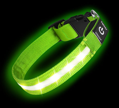 PetIsay Light up Dog Collar - High Visibility & Durable Nylon Material - USB C Rechargeable & Waterproof LED Dog Collar for Night Walking,Lighted ...