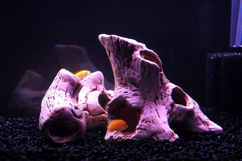 ALEGI Aquarium Tree Stump Hole for Betta Fish Toys,Rock Cave Cichlid Stone Betta Fish Accessories 10, 20 Gallon Fish Tank Decorations, Aquarium Ro...