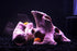ALEGI Aquarium Tree Stump Hole for Betta Fish Toys,Rock Cave Cichlid Stone Betta Fish Accessories 10, 20 Gallon Fish Tank Decorations, Aquarium Ro...