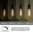 ST58 (ST19) Vintage Edison LED Bulb, Daylight White 4000K, Antique Flexible Spiral LED Filament Light Bulb, 600LM Dimmable, 6W Equivalent to 60W, ...