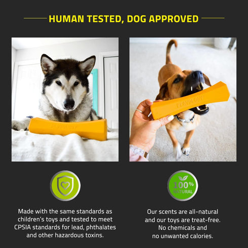 Playology Squeaky Chew Stick Dog Toy for Large Dog Breeds (35lbs and Up) - Engaging All-Natural Cheddar Chesse Scented Dog Chew Toy for Moderate C...