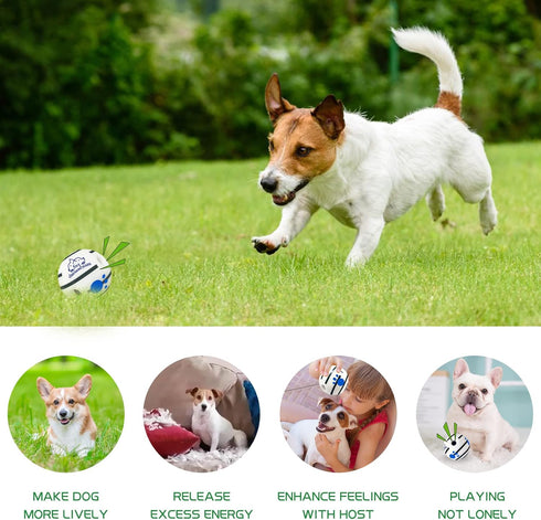 Small Dog Ball, Interactive Dog Toys Ball,Squeaky Dog Toys Ball,Glow in The Dark Ball for Training Teeth Cleaning Herding Balls Indoor Outdoor Saf...