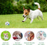 Small Dog Ball, Interactive Dog Toys Ball,Squeaky Dog Toys Ball,Glow in The Dark Ball for Training Teeth Cleaning Herding Balls Indoor Outdoor Saf...