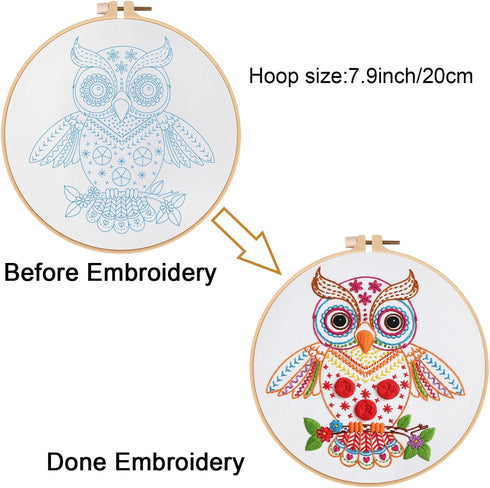Louise Maelys Beginners Adults Embroidery Kit,Owl stamped pattern Practice kit,Starters cross stitch kit including embroidery hoop,cloth,needles, ...