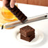 ALLTOP Lemon Zester, Hand-held Stainless Steel Food Grater,Pro Kitchen Tool for Cheese Parmesan Vegetable Ginger Garlic Nutmeg Citrus Lime Orange ...